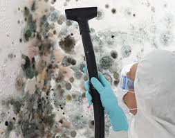 Best Asbestos and Lead Testing During Mold Inspection in Mila Doce, TX